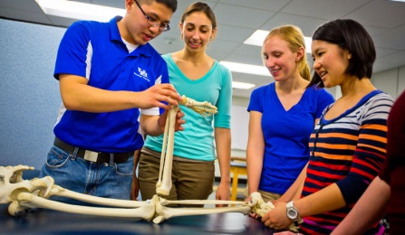 Rehabilitation science student in the lab with a skeleton. 